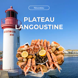 Plateau fruits de mer Langoustine